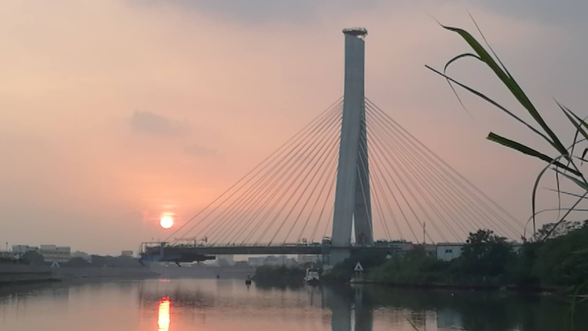 12月11日,沥桂大桥主桥边跨顺利合拢,标志着桥梁建设又完成